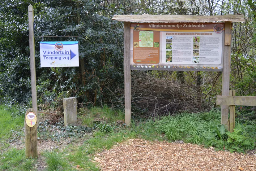 pn22042021 vlinderommetje zuidwolde 3