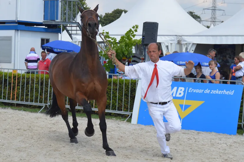 pn22072014 kwpnkeuring5