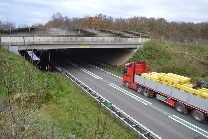 pn23112017 n48 stiggeltie1