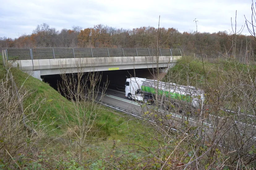 pn23112017 n48 stiggeltie3