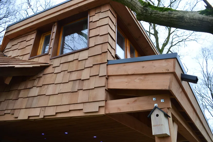 pn24012018 boomhut xxl echten5