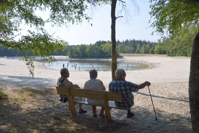 pn24072018 drentsefiets4daagse zwarte dennen2