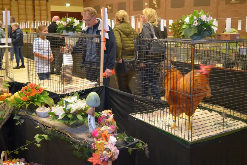 pn25102018 pelsenpluim3