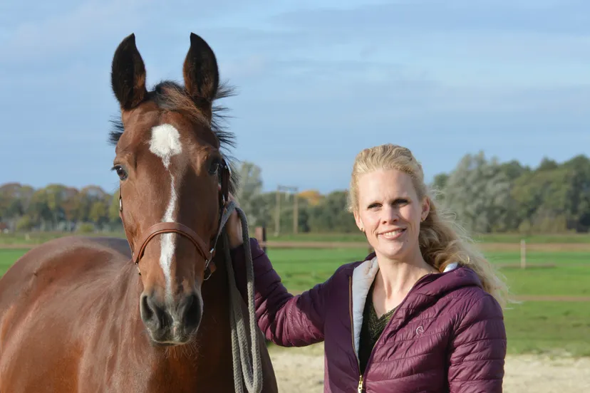 pn25102019 henka rooze2 scaled