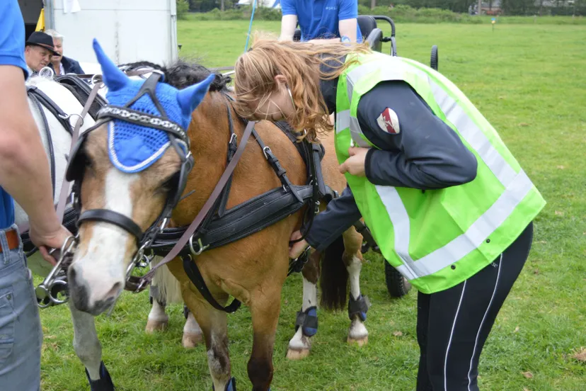 pn26052019 mennen zuidwolde25
