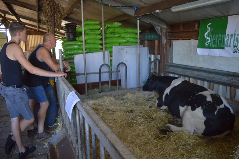 pn27072019 boerderijenfietstochtruinerwold4