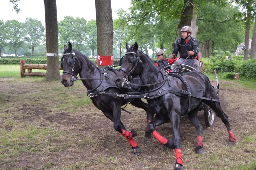 pn29052016 menmarathon10