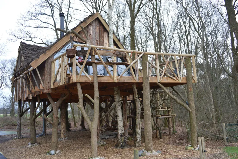 pn30012018 boomhut ansen11