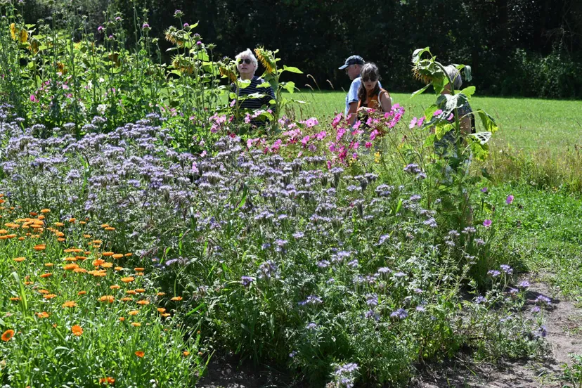 pn30072022 ruinerwold boeren bedrijvendag4