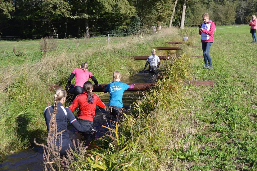 pn30092018 echtnrun20