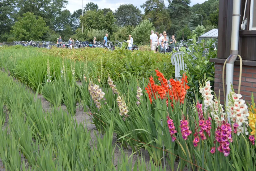 pn31072019 boerderijenfietstocht zuidwolde10