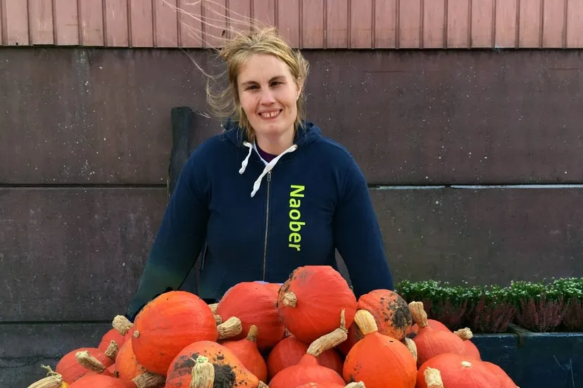 pompoenpers e1475533636933