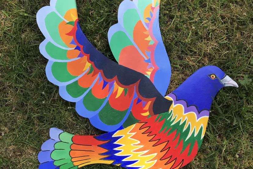 rainbow zwaantje ten have