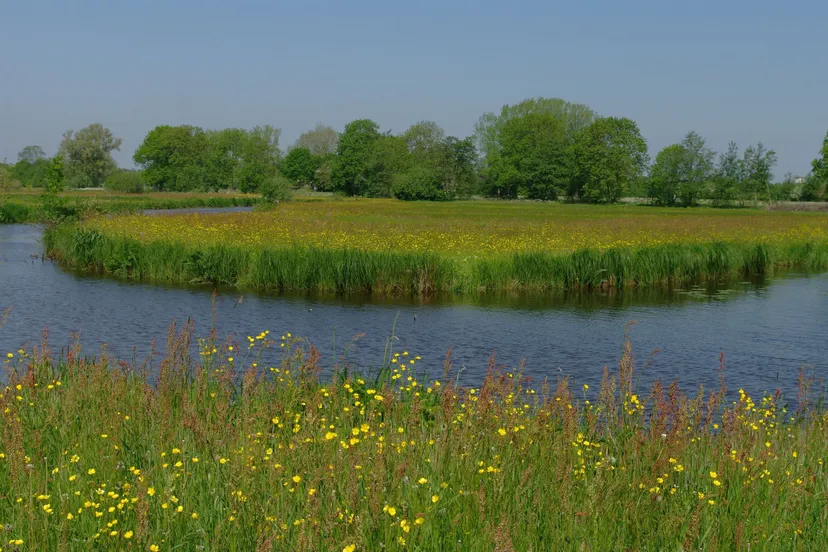 reest foto joop van der merbel het drentse landschap