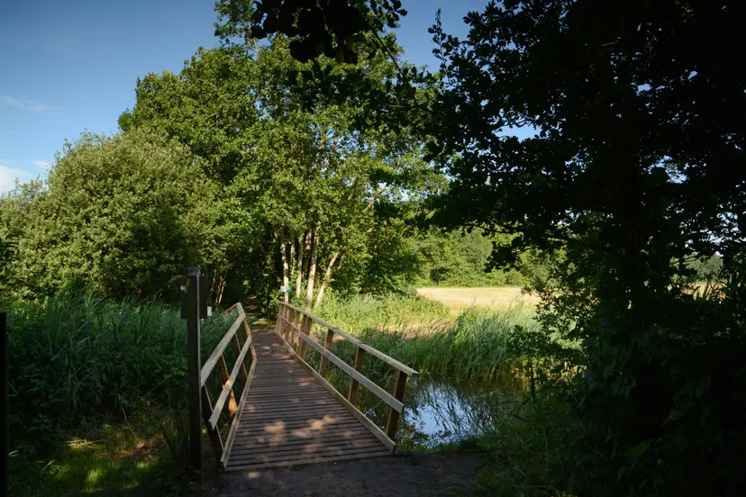 reestdal brug nico kloek