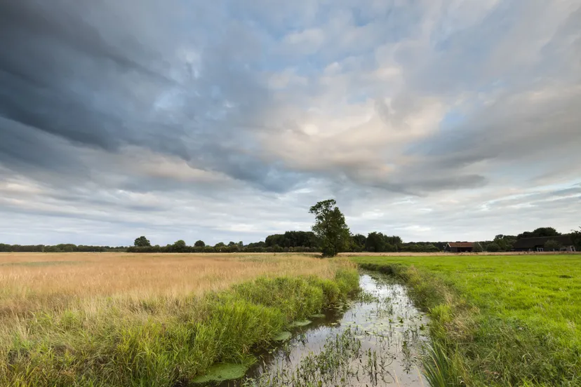 reestdal foto karla leeftink 3