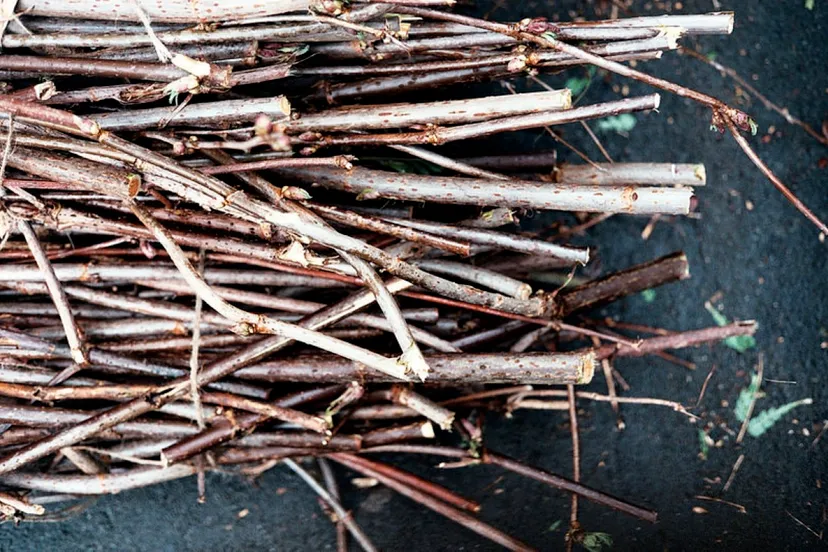 restonbot foter cc by