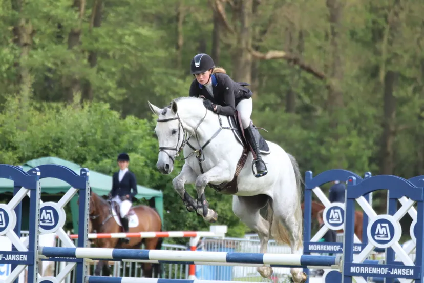 rielke roeland iron maiden as