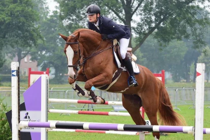 rink jan dijkstra jcoutinho