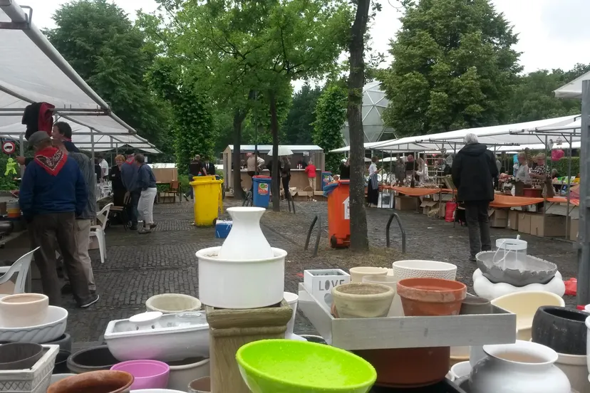 rommelmarkt zuidwolde 25 juni 2016 nr 2
