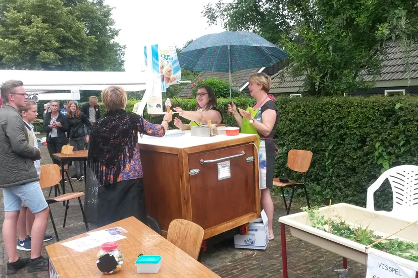 rommelmarkt zuidwolde 25 juni 2016 nr 7