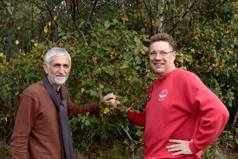 ruinen harm echten en paul mentink 002