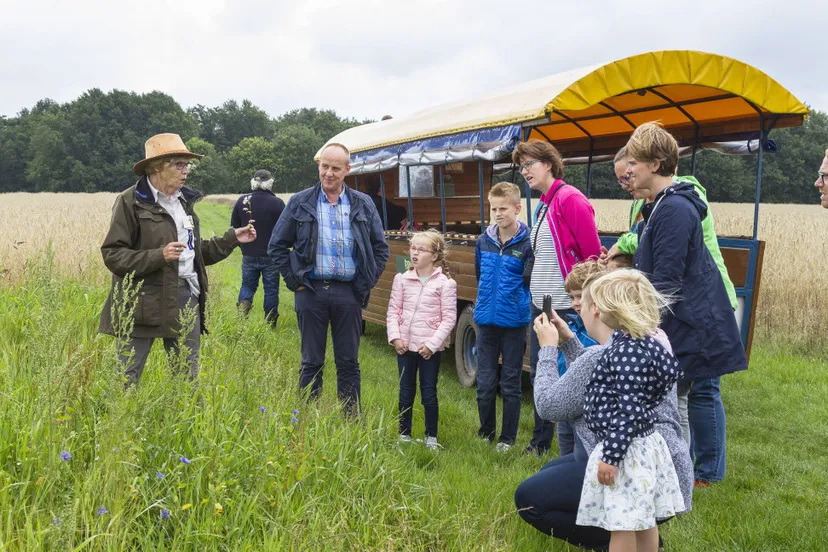 ruinen huifkartocht andries de la lande cremer namo89460 1