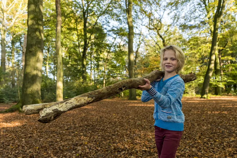 ruinen hutten bouwen janko van beek
