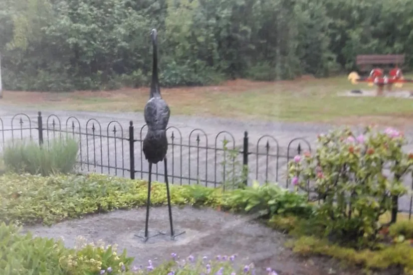 ruinen kraanvogel beeld4