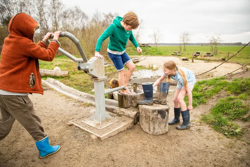 ruinen speelnatuur van oerrr dwingelderveld marrit schuddebeurs namo118331
