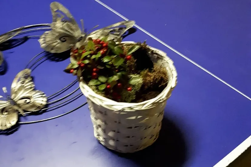 ruinen tuindiefstal2