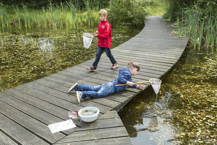 ruinen waterdiertjes vangen andries de la lande cremer