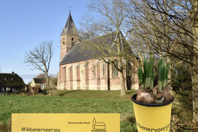 ruinerwold bloembollen3