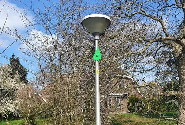 ruinerwold drentse koe wandeling4