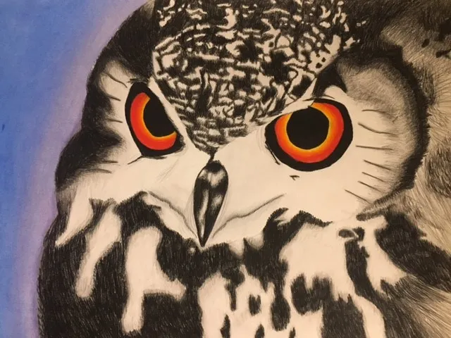 scala tessel verhoeven 13 jaar