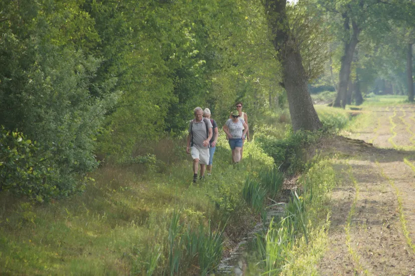 schakel wandeltocht koekange