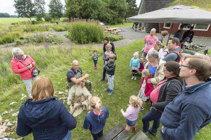 schapen knippen tijdens schapendagen andries de la lande cremer 002