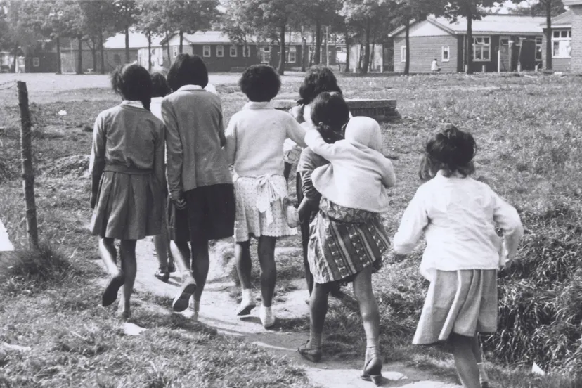 schattenberg mo9lukkers