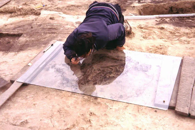 schokland overzicht opgravingsterein p14 schokland 1990 bron wies kreukniet