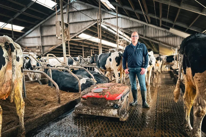 sta demodagen lely van spijker stalinrichting