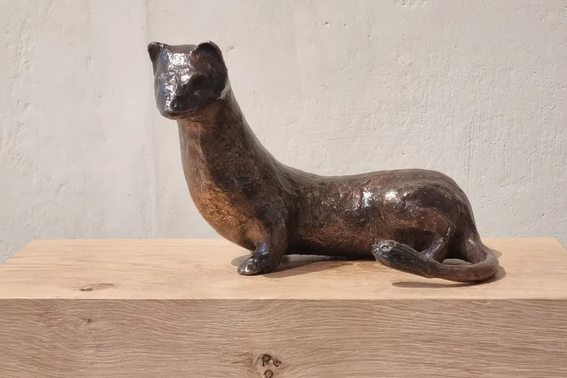 stapel hermelijn c bert denneman