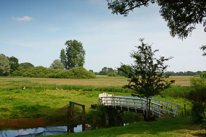 streekeigen landschap van staphorst nico kloek