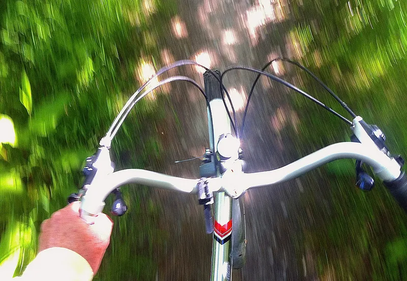 stuur georgie r foter cc by nd1