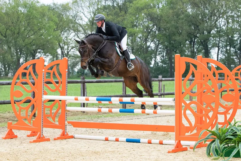 sumsale icone fp 002