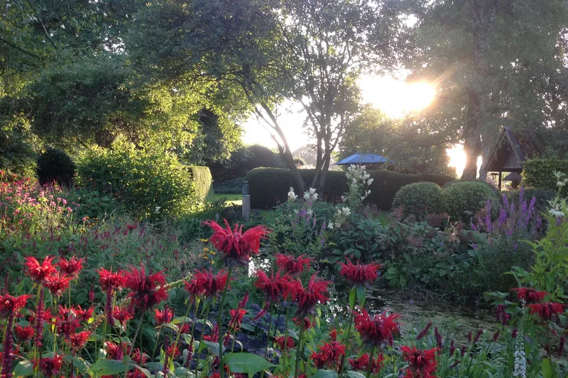 tuinen drentse hooglanden