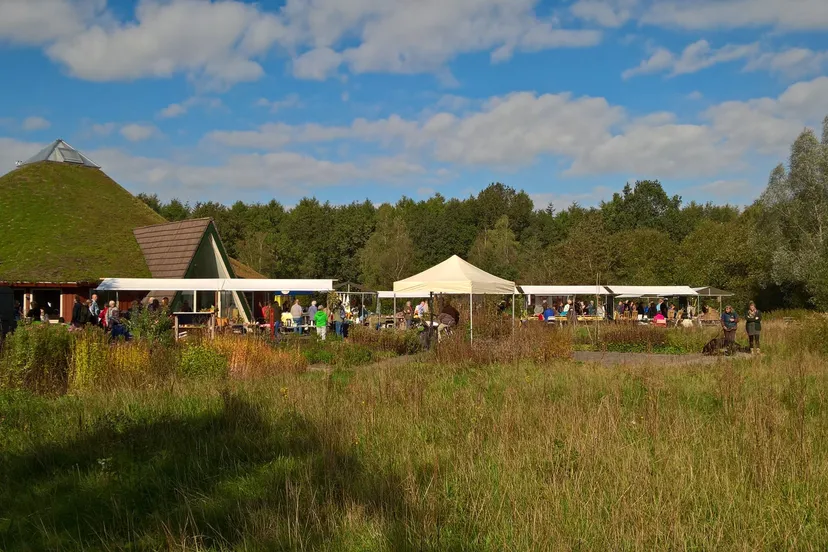 tuinmarkt 2019 janneke van gerwen 002