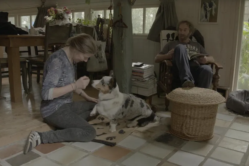 typischdwingeloo madelon at eo