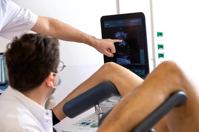 urologie elesta laser web