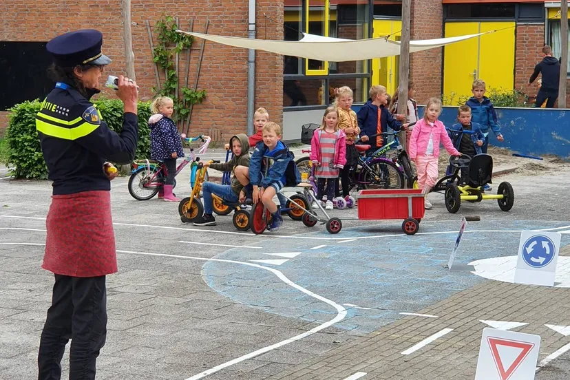 veeningen verkeersplein veldboeket1