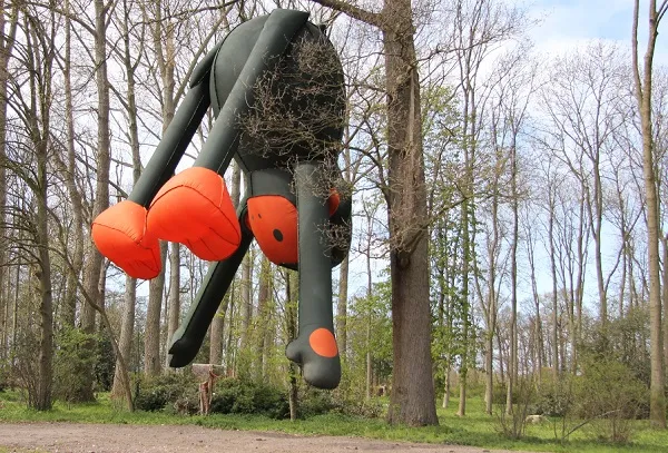 vette aap florentijn hofman 2a